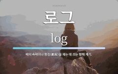 로그 뜻: 배의 속력이나 항정(航程)을 재는 데 쓰는 항해 계기.