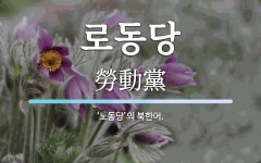 로동당 뜻: ‘노동당’의 북한어.