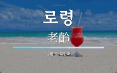로령 뜻: ‘노령’의 북한어.