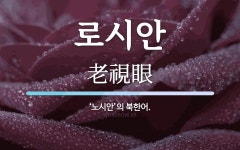 로시안 뜻: ‘노시안’의 북한어.
