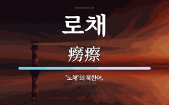 로채 뜻: ‘노채’의 북한어.