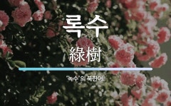 록수 뜻: ‘녹수’의 북한어.
