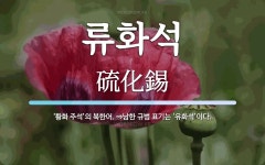 류화석 뜻: ‘황화 주석’의 북한어. ⇒남한 규범 표기는 ‘유화석’이다.