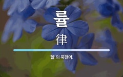 률 뜻: ‘율’의 북한어.