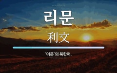 리문 뜻: ‘이문’의 북한어.