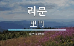 리문 뜻: ‘이문’의 북한어.