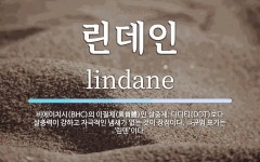 린데인 뜻: 비에이치시(BHC)의 이질체(異質體)인 살충제. 디디티(DDT)보다 살충력이 강하고 자극적