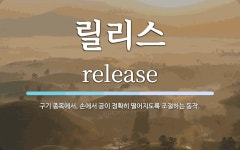 릴리스 뜻: 구기 종목에서, 손에서 공이 정확히 떨어지도록 조절하는 동작. 릴리스 뜻: 구기 종목에서, 손에서 공이 정확히 떨어지도록 조절하는... 