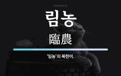 림농 뜻: ‘임농’의 북한어.