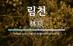 림천 뜻: 산과 들의 고요하고 아름다운 경치를 비유적으로 이르는 말.