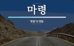 마령 뜻: ‘붓꽃’의 옛말.
