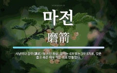마전 뜻: 사냥이나 강무(講武) 때 쓰던 화살. 길이는 4자 또는 3자 8치로, 깃은 좁고 촉은 매우