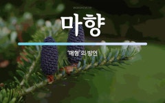 마향 뜻: ‘매형’의 방언