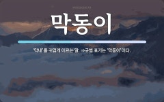 막동이 뜻: ‘막내’를 귀엽게 이르는 말. ⇒규범 표기는 ‘막둥이’이다.