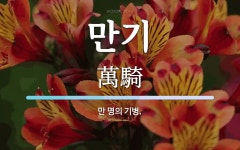 만기 뜻: 만 명의 기병.