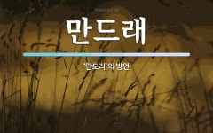 만드래 뜻: ‘만도리’의 방언