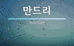 만드리 뜻: ‘만도리’의 방언