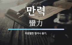 만력 뜻: 무분별한 힘이나 용기.