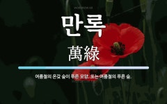 만록 뜻: 여름철의 온갖 숲이 푸른 모양. 또는 여름철의 푸른 숲.