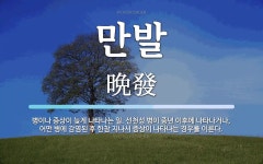 만발 뜻: 병이나 증상이 늦게 나타나는 일. 선천성 병이 중년 이후에 나타나거나, 어떤 병에 감염된 만발 뜻: 병이나... 
