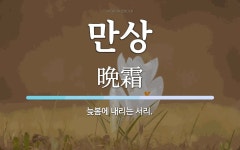 만상 뜻: 늦봄에 내리는 서리.