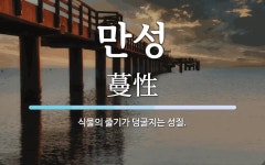 만성 뜻: 식물의 줄기가 덩굴지는 성질.