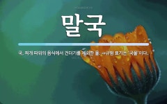 말국 뜻: 국, 찌개 따위의 음식에서 건더기를 제외한 물. ⇒규범 표기는 ‘국물’이다.