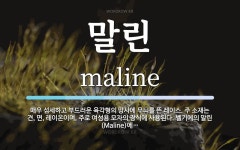 말린 뜻: 매우 섬세하고 부드러운 육각형의 망사에 무늬를 뜬 레이스. 주 소재는 견, 면, 레이온이며