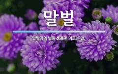 말벌 뜻·의미 | 국어 사전 | 워드로