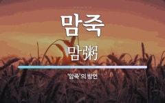 맘죽 뜻: ‘암죽’의 방언