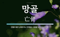 망골 뜻: 언행이 매우 난폭하거나 주책없는 사람을 낮잡아 이르는 말.