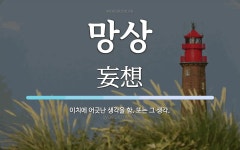 망상 뜻: 이치에 어긋난 생각을 함. 또는 그 생각.