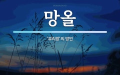 망올 뜻: ‘부리망’의 방언