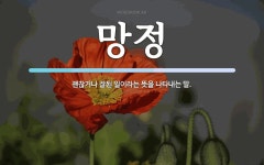 망정 뜻: 괜찮거나 잘된 일이라는 뜻을 나타내는 말.
