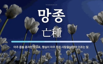 망종 뜻: 아주 몹쓸 종자란 뜻으로, 행실이 아주 못된 사람을 낮잡아 이르는 말.