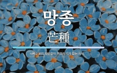 망종 뜻: 벼나 보리 따위같이 까끄라기가 있는 곡식.