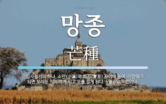 망종 뜻: 이십사절기의 하나. 소만(小滿)과 하지(夏至) 사이에 들며, 이맘때가 되면 보리는 익어 먹