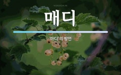 매디 뜻: ‘마디’의 방언