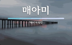 매아미 뜻: ‘매미’의 방언