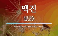 맥진 뜻: 병을 진찰하기 위하여 손목의 맥을 짚어 보는 일.