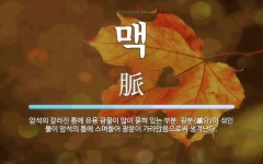 맥 뜻: 암석의 갈라진 틈에 유용 광물이 많이 묻혀 있는 부분. 광분(鑛分)이 섞인 물이 암석의 틈