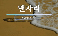 맨자리 뜻: ‘왕골자리’의 방언