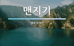 맨지기 뜻: ‘맹추’의 방언