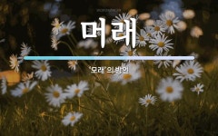 머래 뜻: ‘모래’의 방언