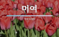 머여 뜻: ‘먼저’의 방언