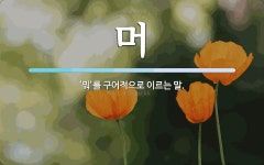 머 뜻: ‘뭐’를 구어적으로 이르는 말.