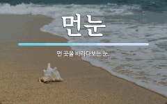 먼눈 뜻: 먼 곳을 바라다보는 눈.