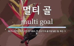 멀티 골 뜻: 축구나 하키 따위의 구기 경기에서, 한 선수가 두 골 이상 넣는 일. 또는 그 골.