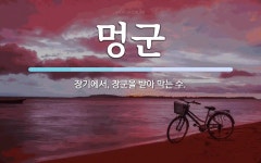 멍군 뜻: 장기에서, 장군을 받아 막는 수.