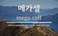 메가셀 뜻: 대규모 집적 회로급의 회로 블록. 주로 빌딩ㆍ블록형 스탠더드 셀로 이용할 수 있다.